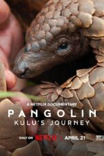 Pangolin Kulu’s Journey (2025)
